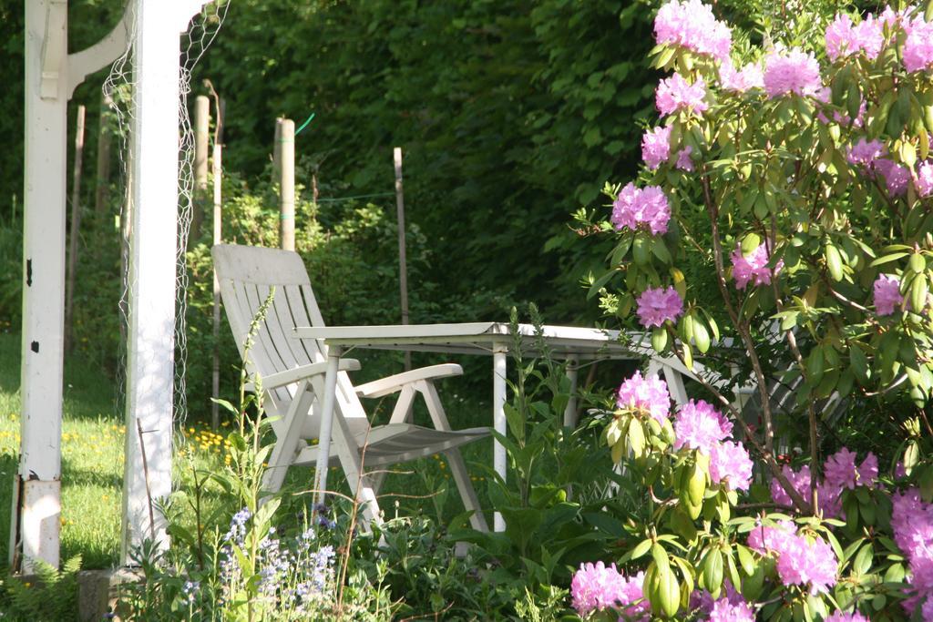 L'Hermine Spa Chambre photo