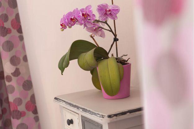 L'Hermine Spa Chambre photo